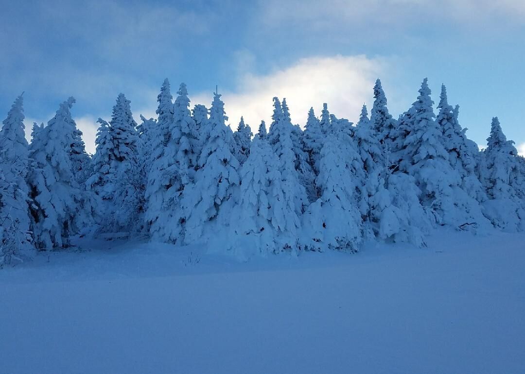 Vermont